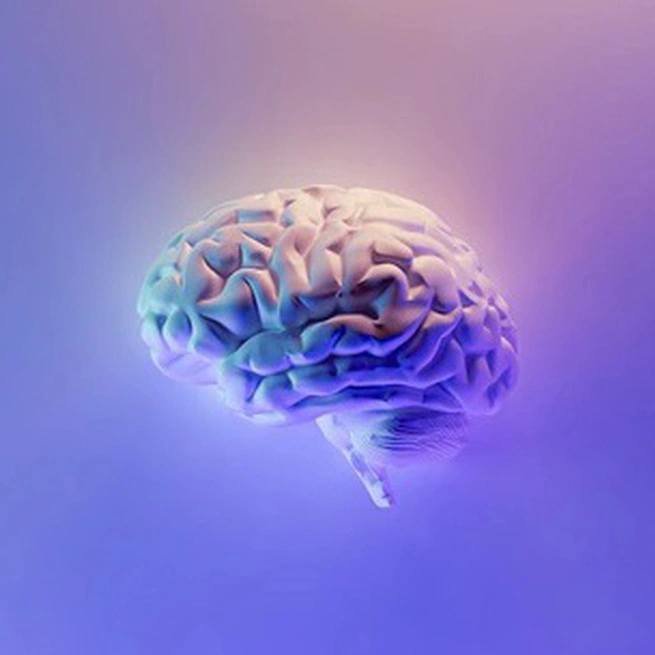 【2025年09月21日】每日更新!高速免费节点,SSR/V2ray/Clash订阅链接